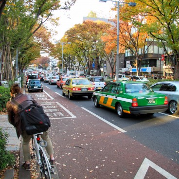 Omotesando Avenue in Tokyo, Traffic lanes in autumn 2