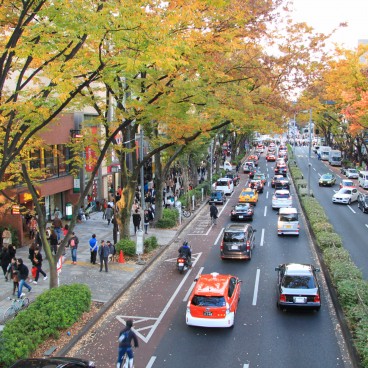 Omotesando Avenue in Tokyo, Traffic lanes in autumn