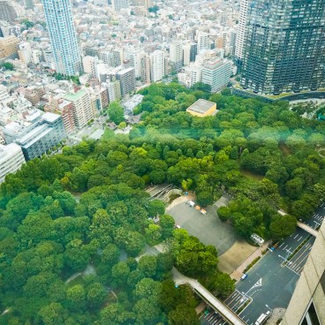 Shinjuku Observation 5