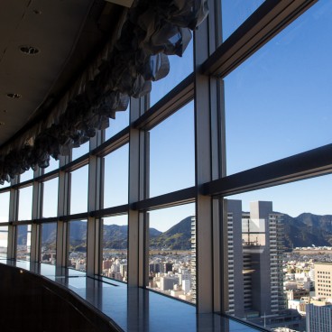 Sunpu Castle Park 14