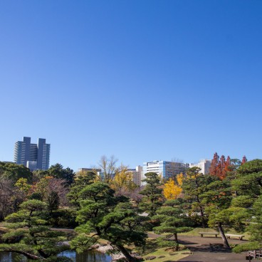 Sunpu Castle Park 8
