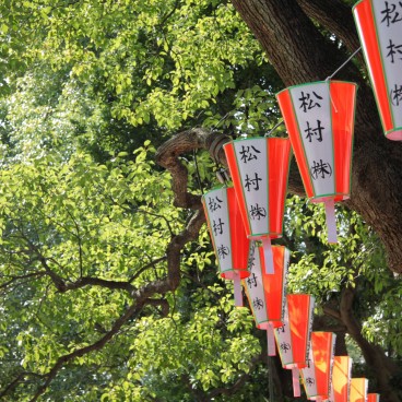 Ueno Park, paper lanterns and cherry trees in summer