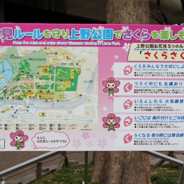 Ueno Park, informative sign during cherry blossom season