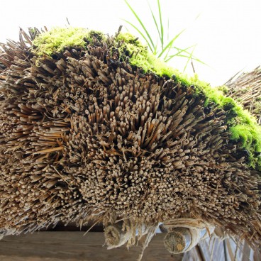 Shirakawa-go, Detail of the thatch covering a roof