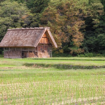 Shirakawa-go, A thatched roof house 2