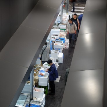 Fisheries Intermediate Wholesale Market Observation Windows