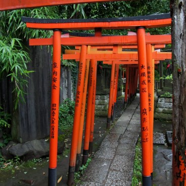 Nezu-jinja (Tokyo), Senbon-Torii tunnel 2