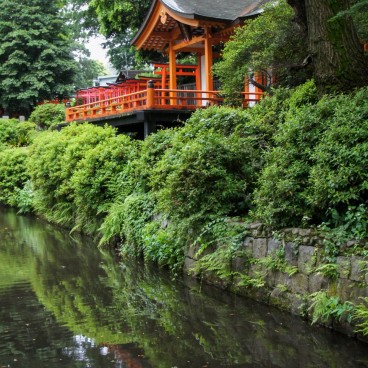 Nezu-jinja (Tokyo), View on Otome Inari shrine and Senbon-Torii 