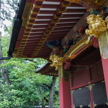 Nezu-jinja (Tokyo), Architectural detail
