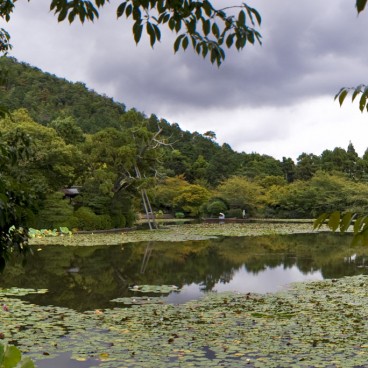 Ryoanji Kyoto 1