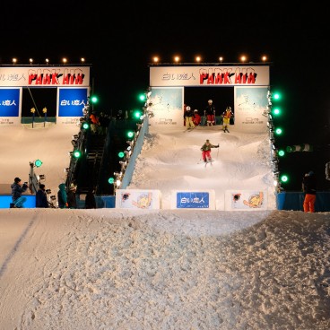 Sapporo Yuki Matsuri 1