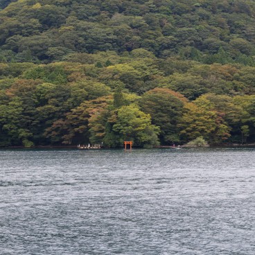 Lake ashi (Hakone), View on a torii gate and a forest