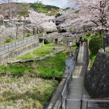 Keage Incline in Kyoto in spring