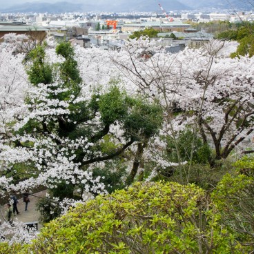 Keage Incline in Kyoto, View on the city and Heian-jingu's great torii in the background