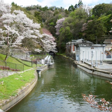 Keage Incline in Kyoto, Lake Biwa Canal in spring