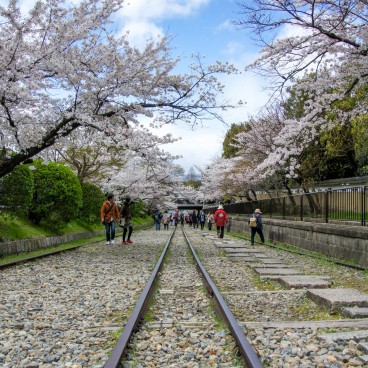 Keage Incline in Kyoto, Railway under the blooming cherry trees in spring 5