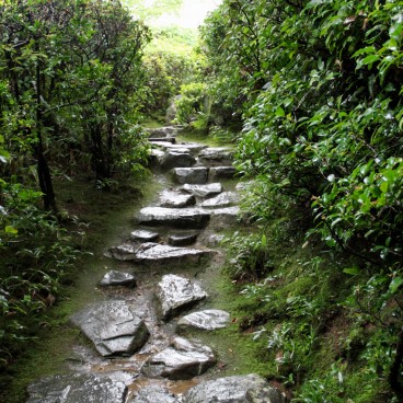 Okochi Sanso Villa 7