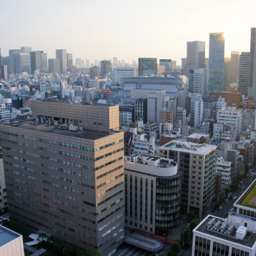 View on Tokyo's skyline at sunset