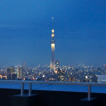 Night view of the Tokyo SkyTree from a rooftop