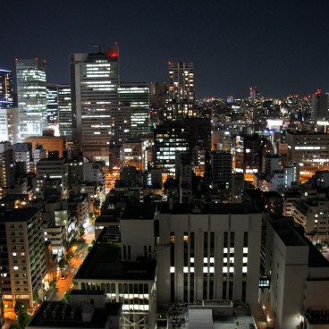 Night view on Tokyo's rooftops