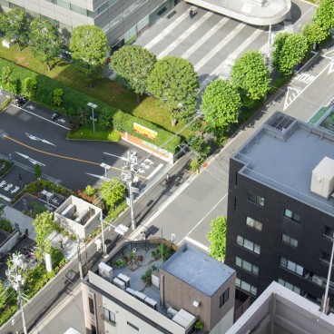 View on the street from a rooftop in Tokyo