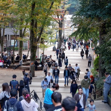 Inokashira Park in Kichijoji