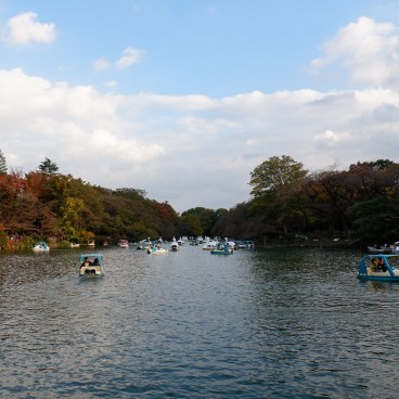 Inokashira Park and pond in autumn