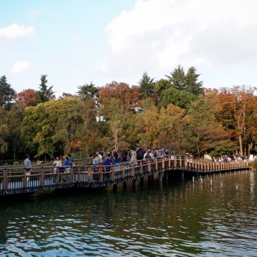 Inokashira Park and pond in autumn 2