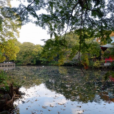 Inokashira Park in Kichijoji 2
