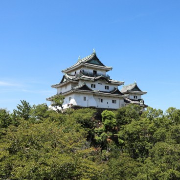 Wakayama Castle