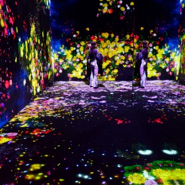 teamLab Borderless, MORI Building DIGITAL ART MUSEUM, Odaiba,Tokyo 2