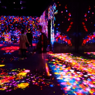 teamLab Borderless, MORI Building DIGITAL ART MUSEUM, Odaiba,Tokyo 10