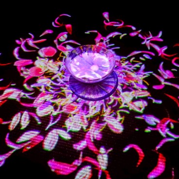 teamLab Borderless, MORI Building DIGITAL ART MUSEUM, Odaiba,Tokyo 11