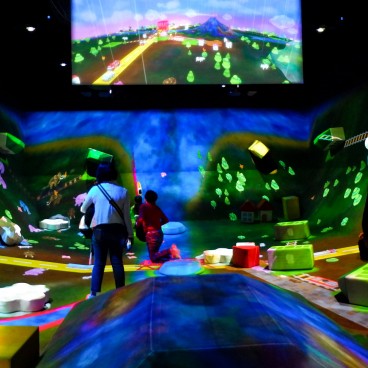 teamLab Borderless, MORI Building DIGITAL ART MUSEUM, Odaiba,Tokyo 12