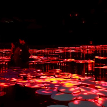 teamLab Borderless, MORI Building DIGITAL ART MUSEUM, Odaiba,Tokyo 5