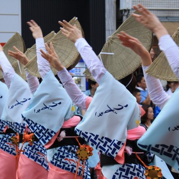 Awa-odori Festival in Tokushima (Shikoku), Group of female dancers 2