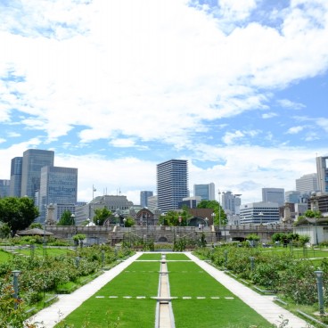 Nakanoshima Osaka 10