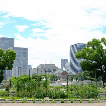 Nakanoshima Osaka 6