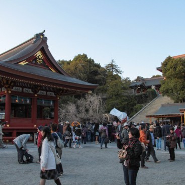 Tsurugaoka Hachimangu (Kamakura), View of the shrine's grounds
