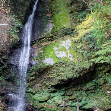 Iya Valley (Shikoku Island) 2