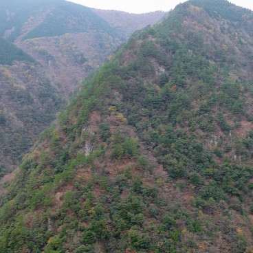 Manikin Peeing Boy Statue in Iya Valley (Shikoku)