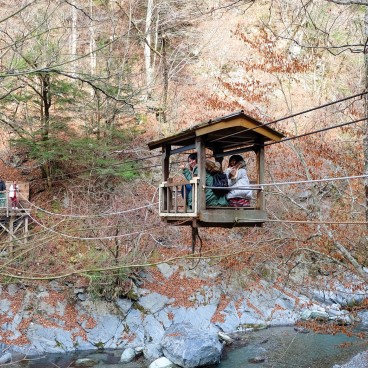 Wild Monkey Bridge in Iya Valley (Shikoku) 2