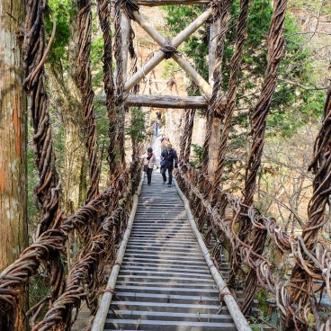 Oku-Iya Kazurabashi Bridge in Shikoku 2