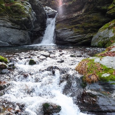 Iya Valley (Shikoku Island) 8