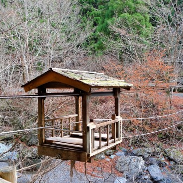 Wild Monkey Bridge in Iya Valley (Shikoku)