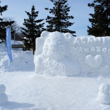 Asahikawa, Asahiyama Dobutsuen Zoo 2