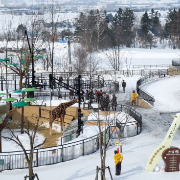 Asahikawa, Asahiyama Dobutsuen Zoo