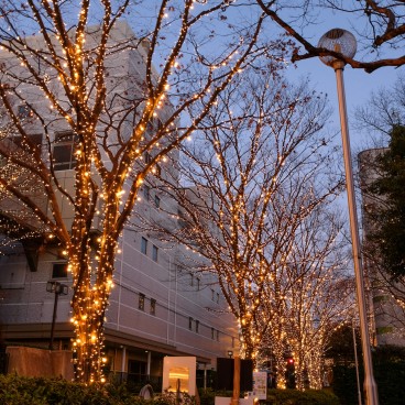 Kyoto, Rohm Christmas Illuminations 2