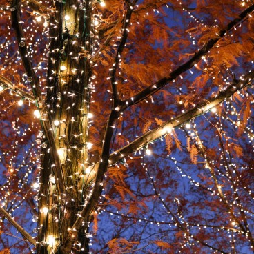 Kyoto, Rohm Christmas Illuminations 3