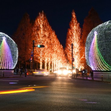 Kyoto, Rohm Christmas Illuminations